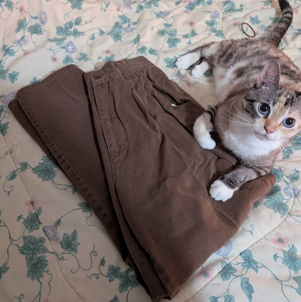 Vintage Brown Highwaisted Pants